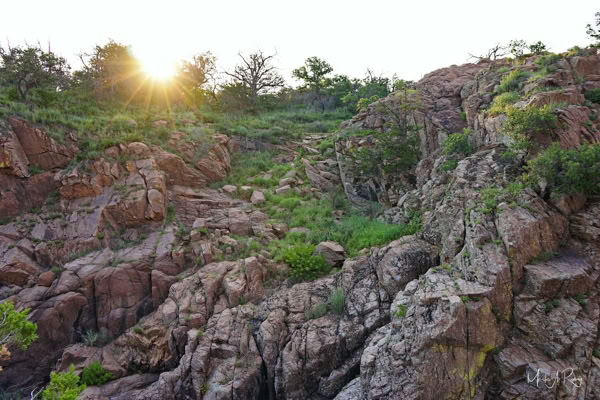 Rocky landscape with green vegetation and trees, with the sun setting in the background.