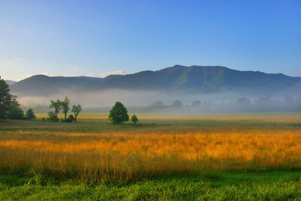 A landscape featuring a field with tall grass in the foreground, a layer of mist in the middle ground, and mountains under a clear blue sky in the background. Cade's Cove, Tennessee in the Smoky Moutains National Park.